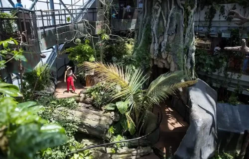 GREEN PLANET INDOOR ZOO by Khyber Tour & Travel